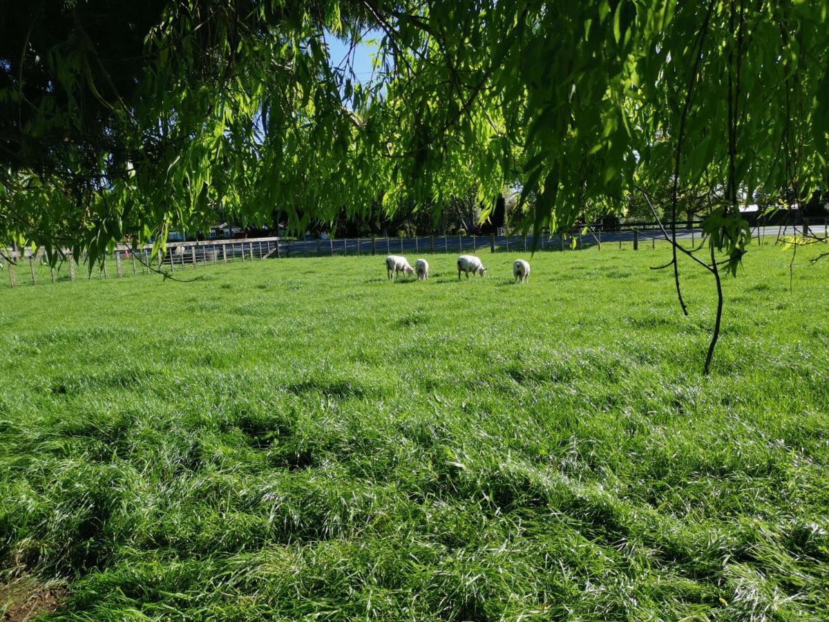 Farm Stay On Te Awa Cycleway Tamahere Exteriér fotografie