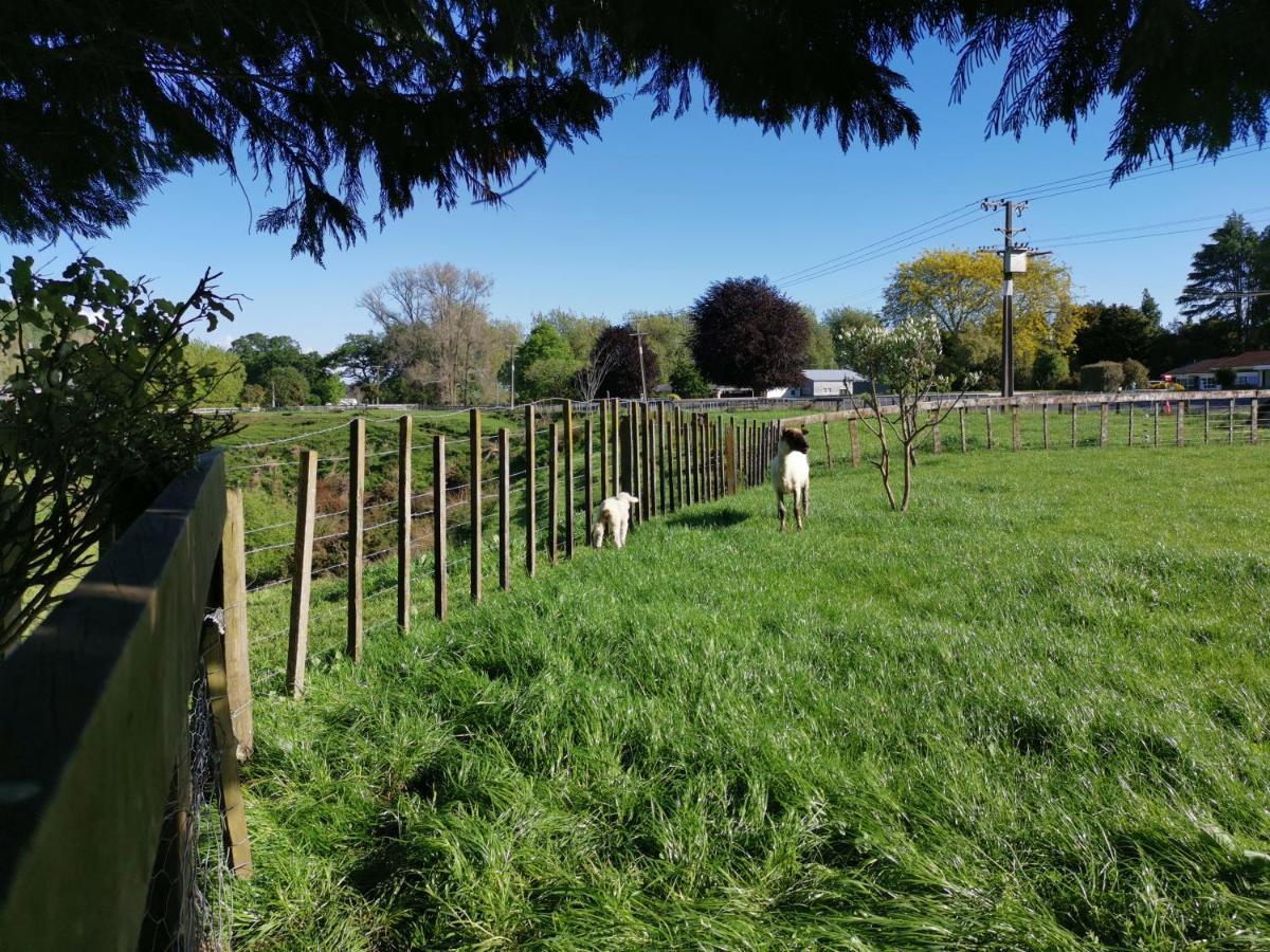 Farm Stay On Te Awa Cycleway Tamahere Exteriér fotografie